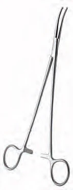 Pince hémostatique Pinces Bengolea