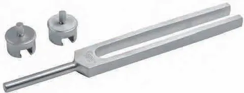 Instrument ORL Diapasons