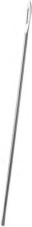 Instrument Stylet aiguillé